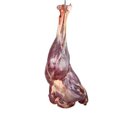 پخش عمده گوشت ران شتر مرغ