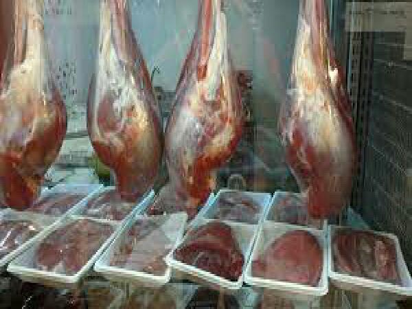 شرکت پخش گوشت ران شتر مرغ