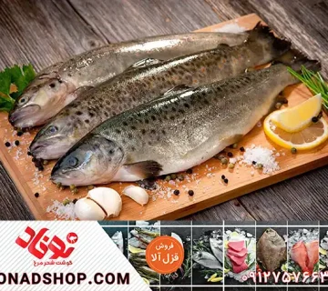 قیمت خرید ماهی قزل آلا جنوب در بازار
