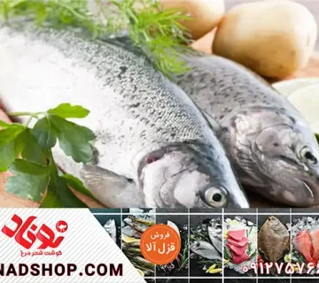 قیمت ماهی قزل الا تازه در بازار
