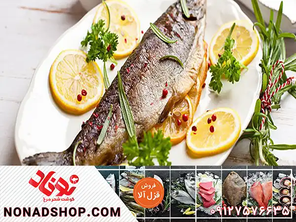 قیمت خرید ماهی قزل آلا جنوب در بازار