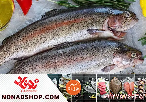 قیمت ماهی قزل آلا درجه یک + فروش عمده
