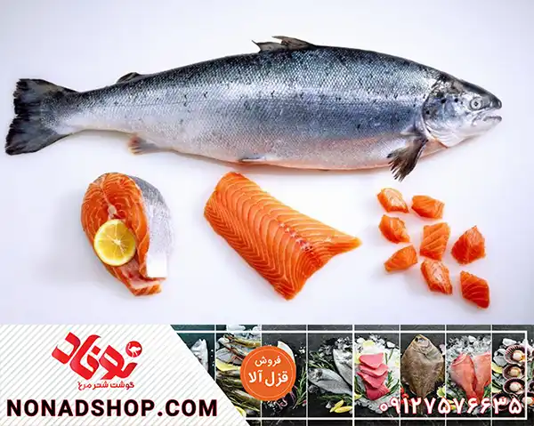 قیمت ماهی قزل الا تازه در بازار